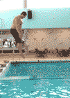 Special Gif